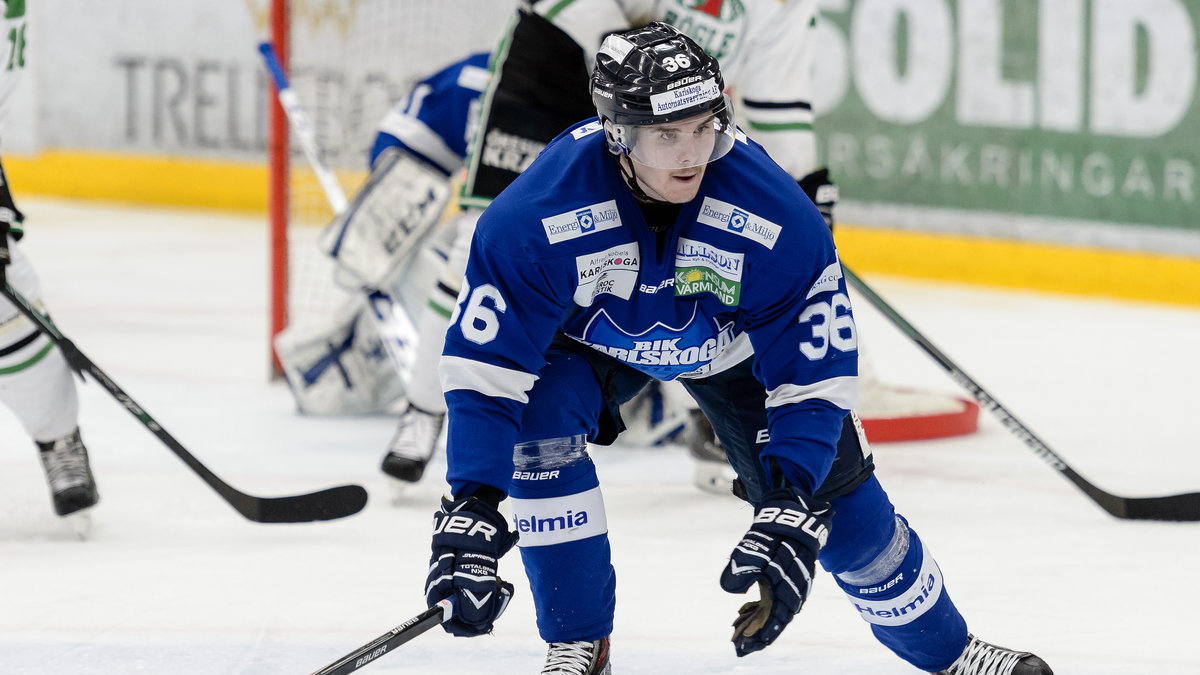 Ishockey