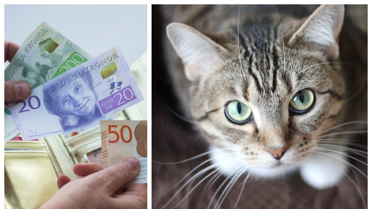 Den nya kattlagen träder snart i kraft.