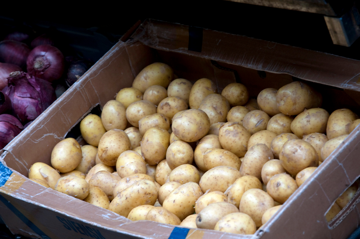 Färskpotatis 