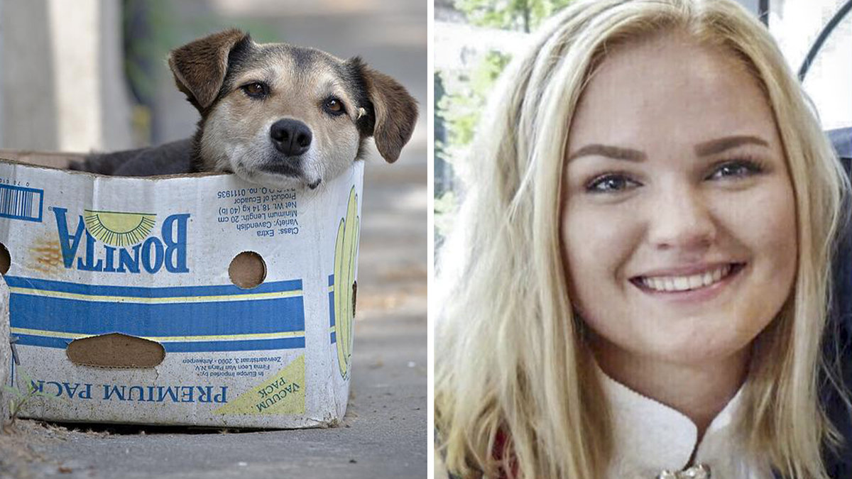 Birgitte blev biten av en hundvalp i Filippinerna.