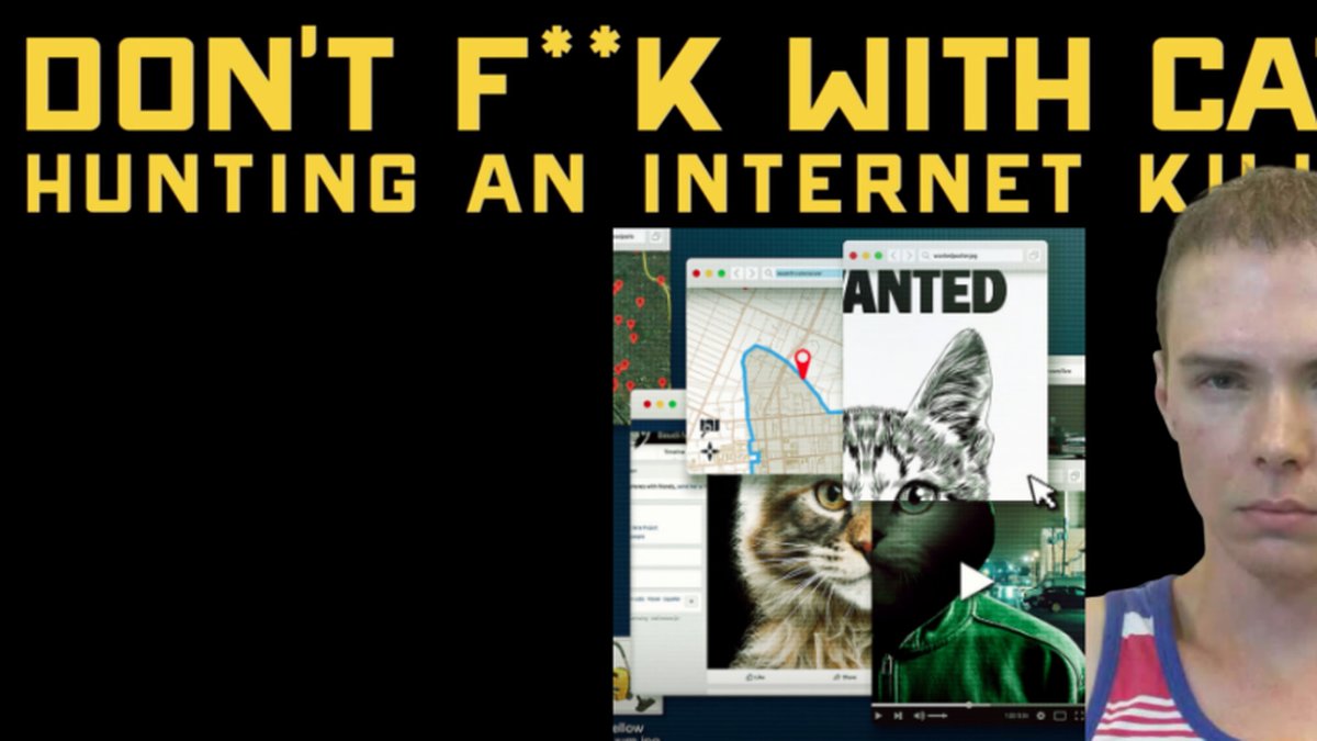 Netflix har släppt dokumentären Don't F*** With Cats*.