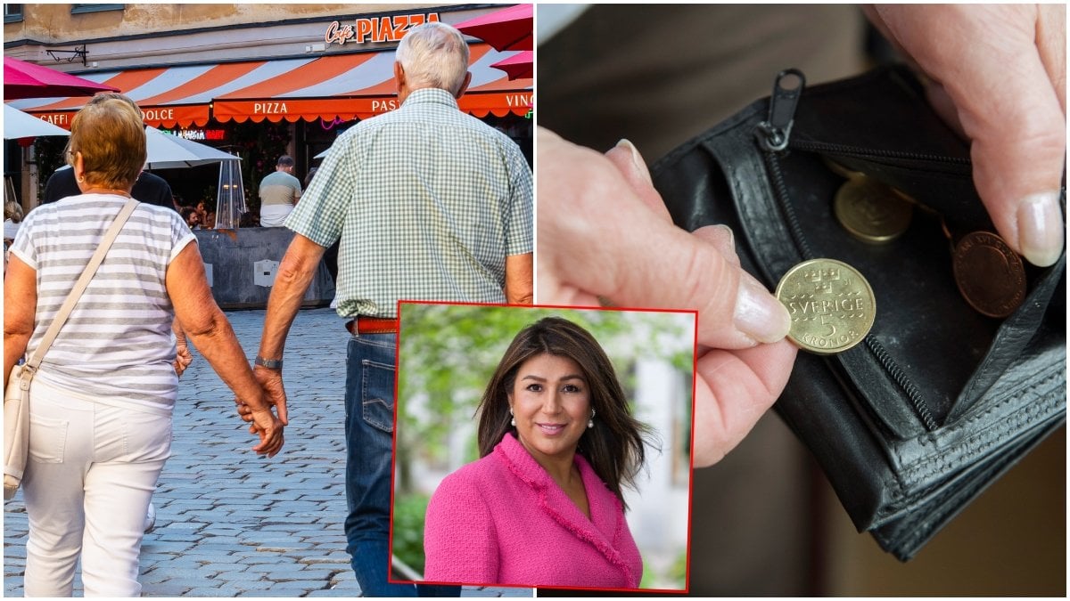 Pensionsekonomen Trifa Chireh redogör för hur hon anser att det svenska pensionssystemet, som läcker miljarder varje år, bör reformeras.