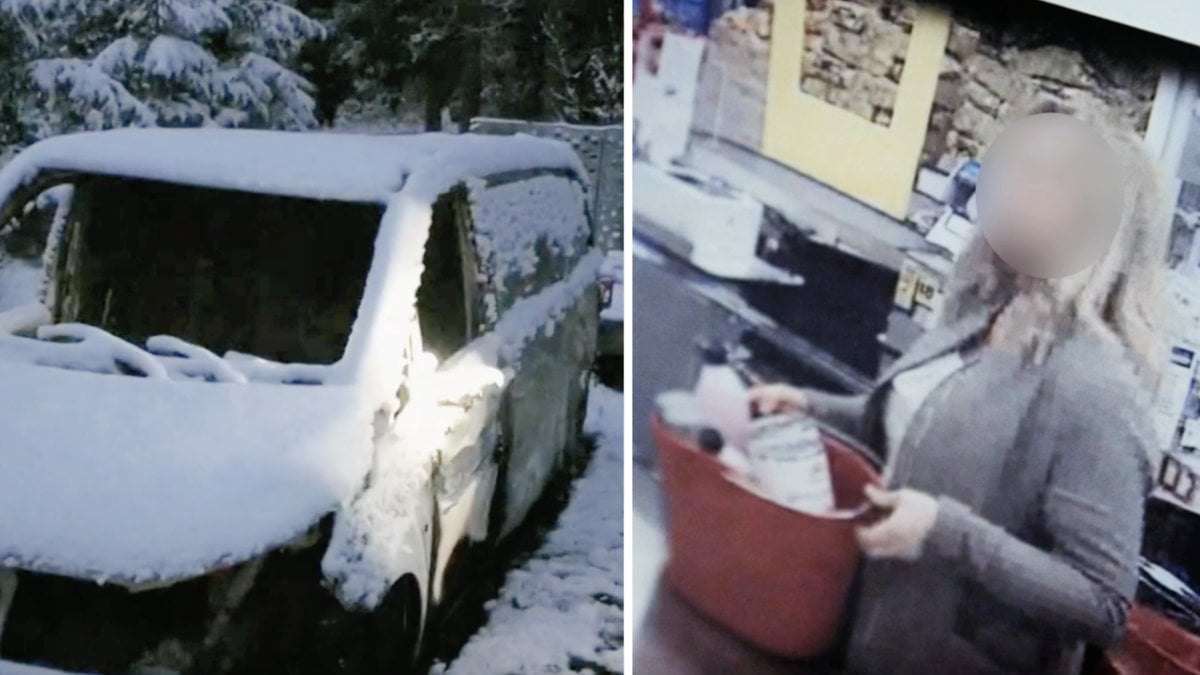 Mordet i Hedlandet – Svenska fall 