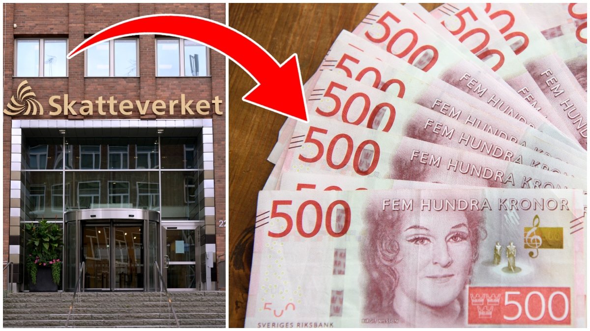Skatteverket har genomfört en omfattande kontroll. 