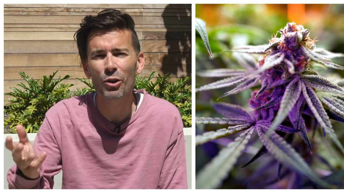 Pastorn vill att fler kristna ska se fördelarna med cannabis.
