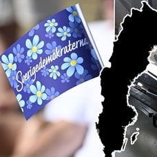 SD-flagga, kärnvapen-robot och en Sveriges karta.