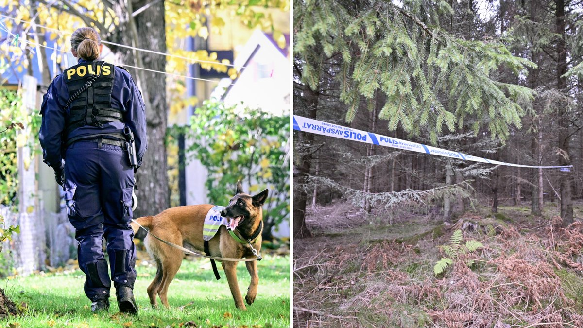 Polisens avspärrning där 21-åriga Tove hittades död. 