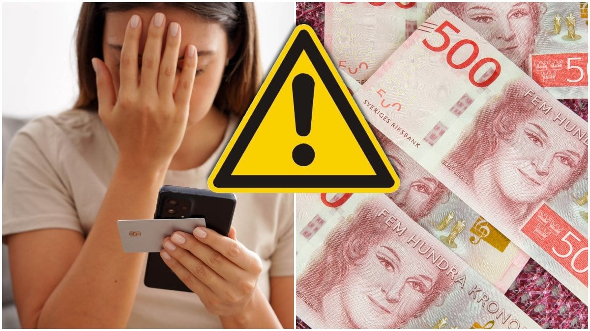 Finansinspektionen varnar ännu en gång allmänheten för bedrägerier.