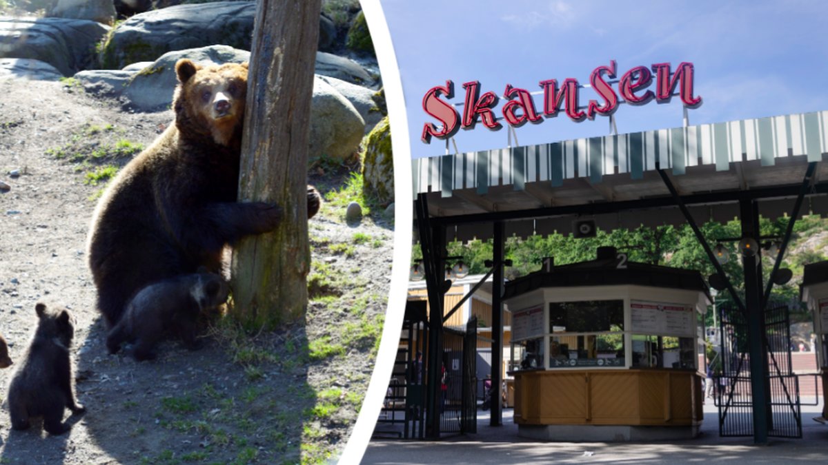 Nu riskerar Skansen att gå omkull innan sommaren.