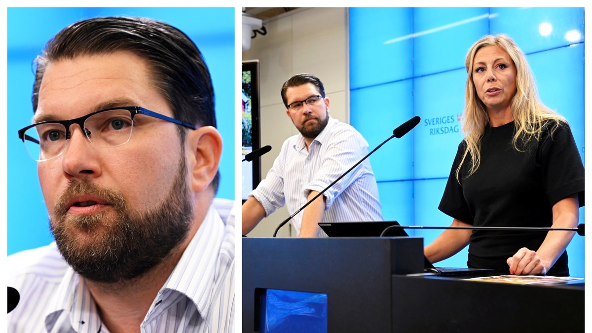 Sverigedemokraterna presenterade sitt valmanifest.