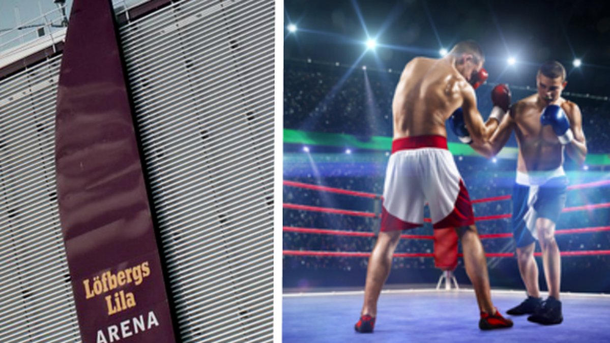 Boxning