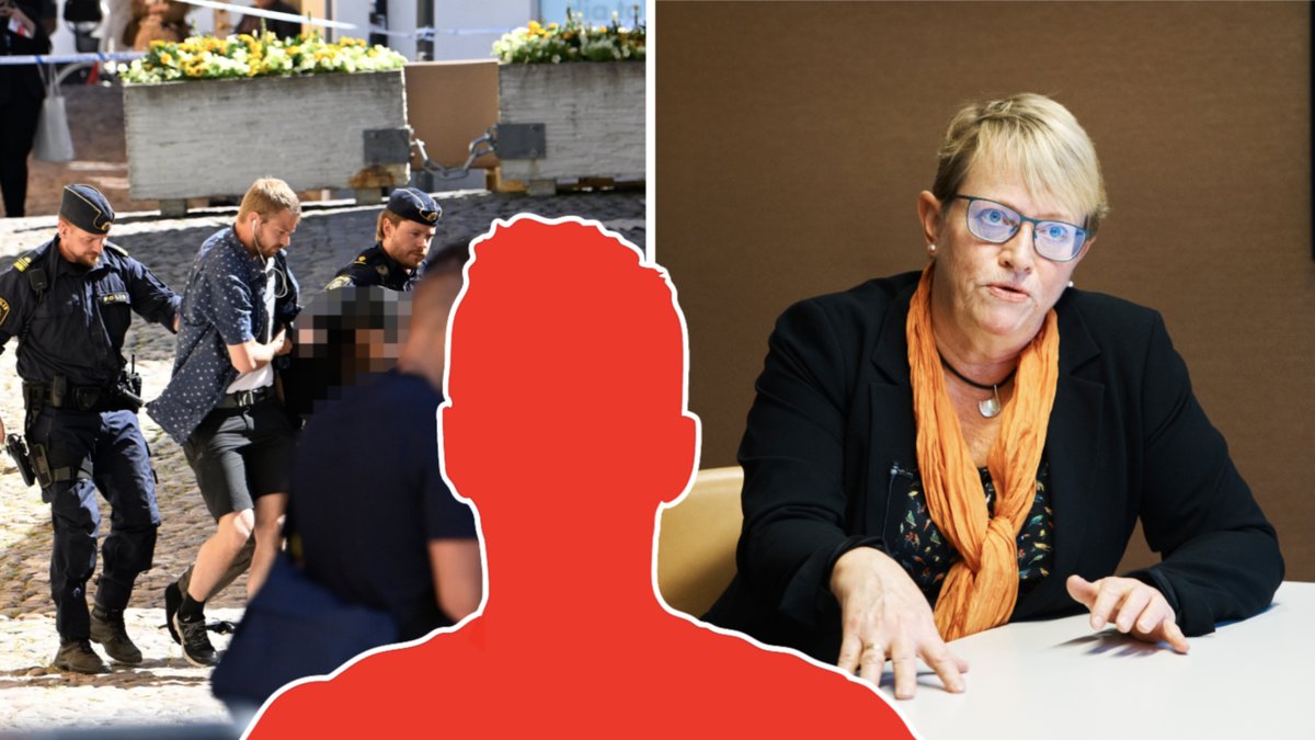 Theodor Engström, 32, misstänks för mordet på Ing-Marie Wieselgren vid Donners plats i Visby