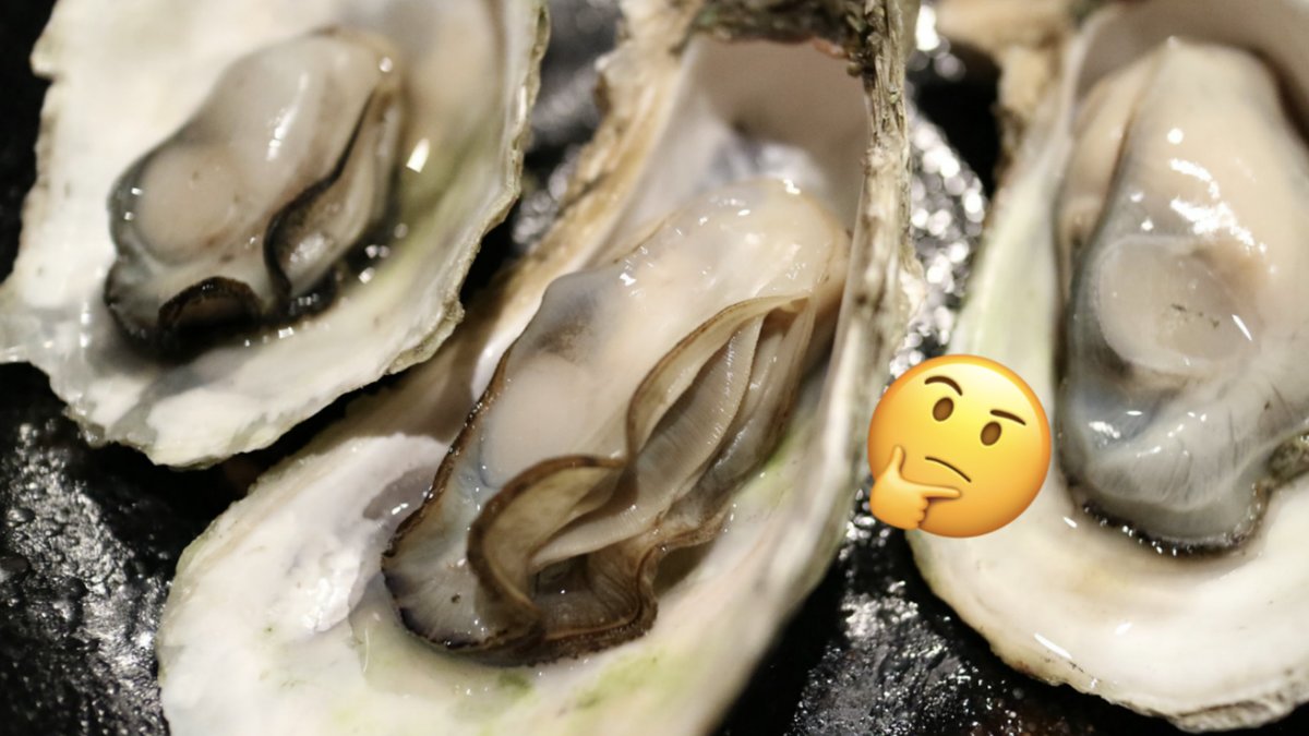 Det-här-är-en-blind-vagina