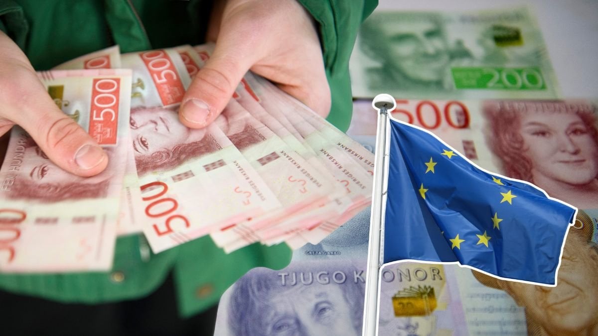 Pengar i handen, sedlar i bakgrunden och EU:s flagga.