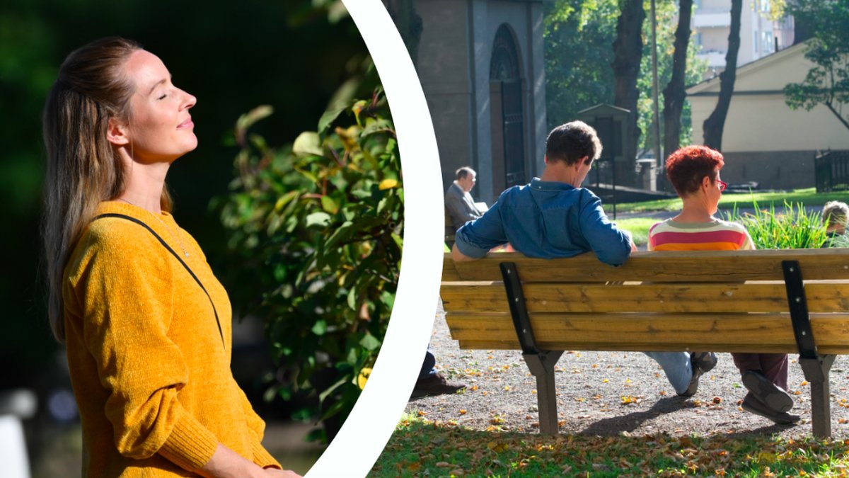 Ung kvinna njuter av höstsolen. Till höger ett par som sitter på en parkbänk. Kollage. 