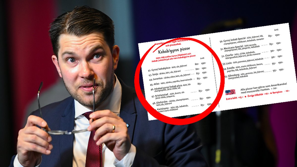 Jimmie Åkesson, partiledare för Sverigedemorkaterna