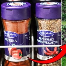 Bild på Santa Marias krydda och ett trädgårdsland.