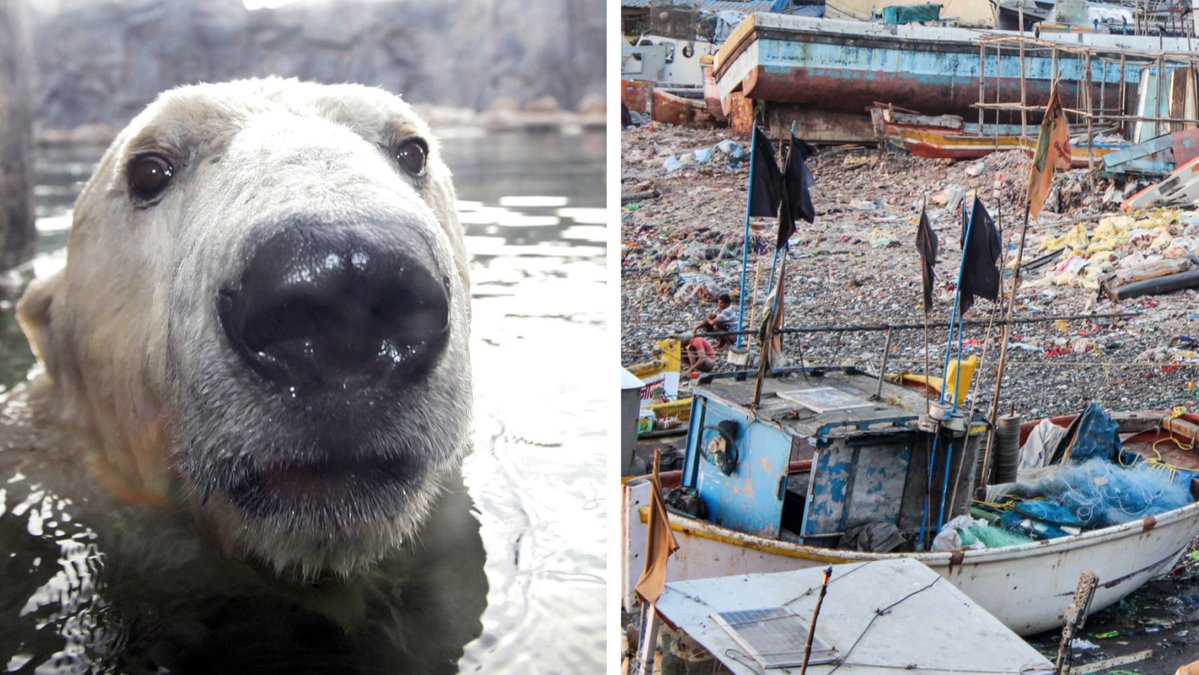 FN:s stora klimatrapport gav tunga besked.