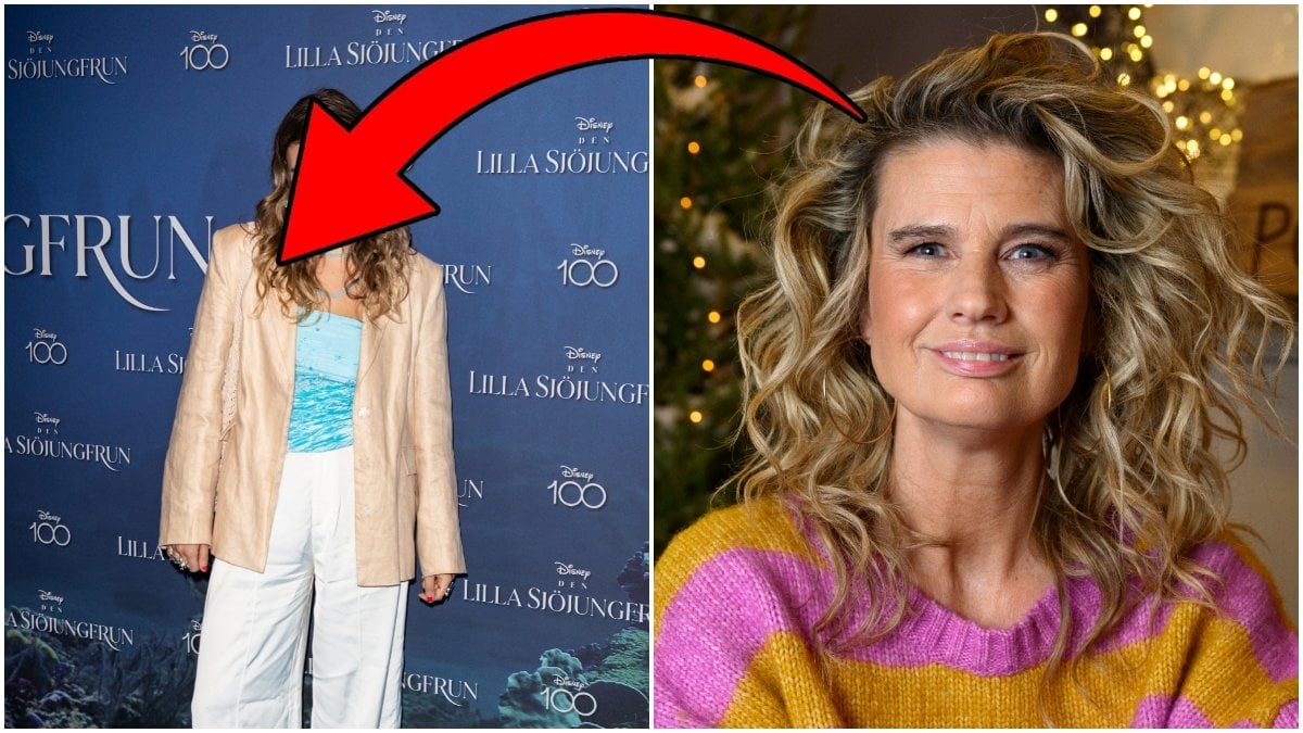 Christine Meltzer har medverkat i en rad populära tv-program, serier och filmer. Hennes dotter har också gjort sig känd, men genom att stå på scen.