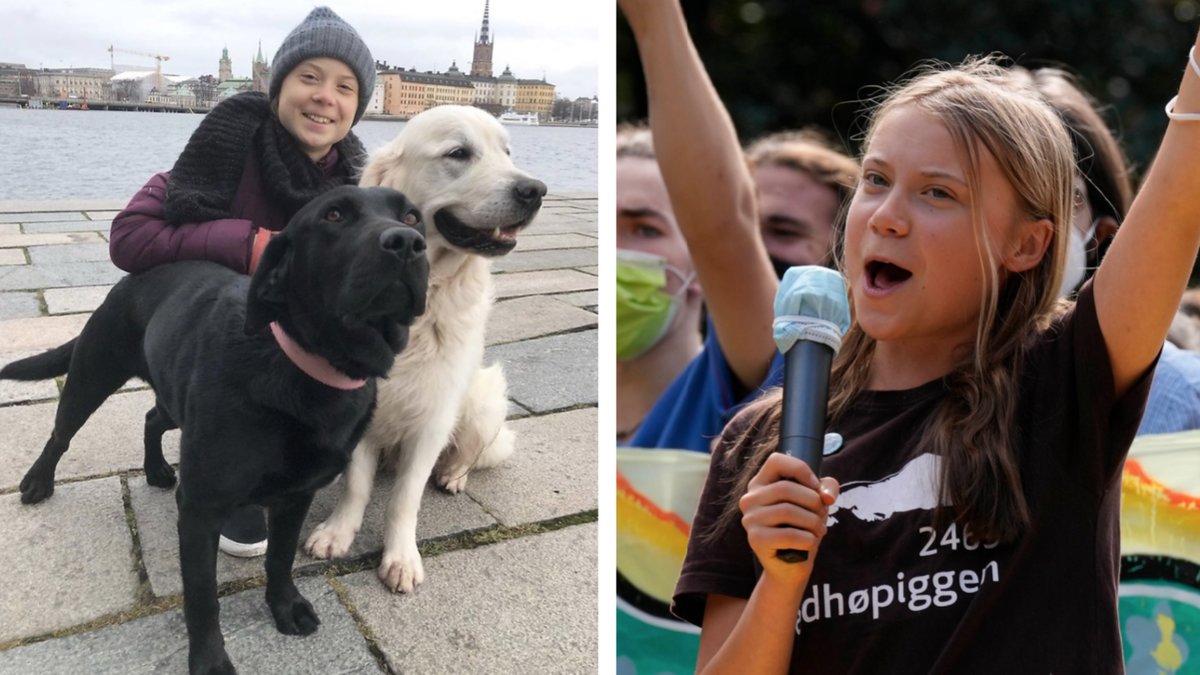 Greta Thunberg bor med sina två hundar Roxy och Moses.