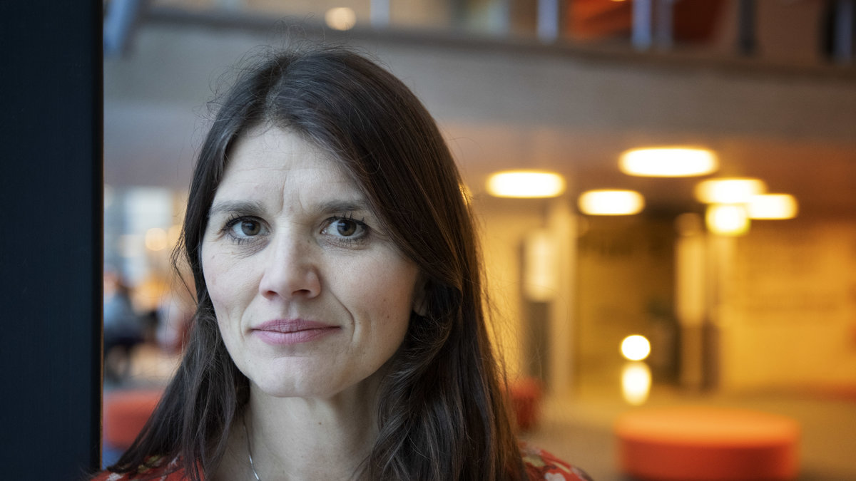 Statsvetaren Jenny Madestam reder ut riskerna för extraval.