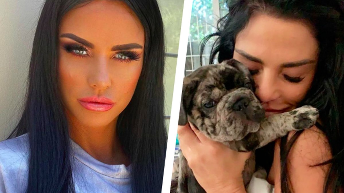 Katie-Prices-hundvalp-kvavdes-till-dods