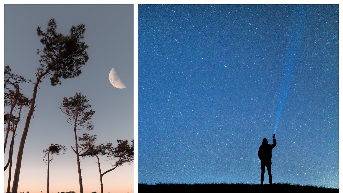 Meteorregnet Perseiderna blir allra tydligast på himlen den 12 augusti.