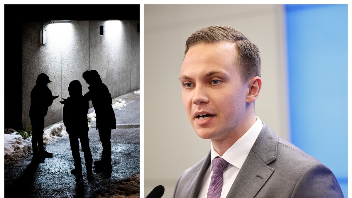 Sverigedemokraterna vill införa en ny form av samhällstjänst.