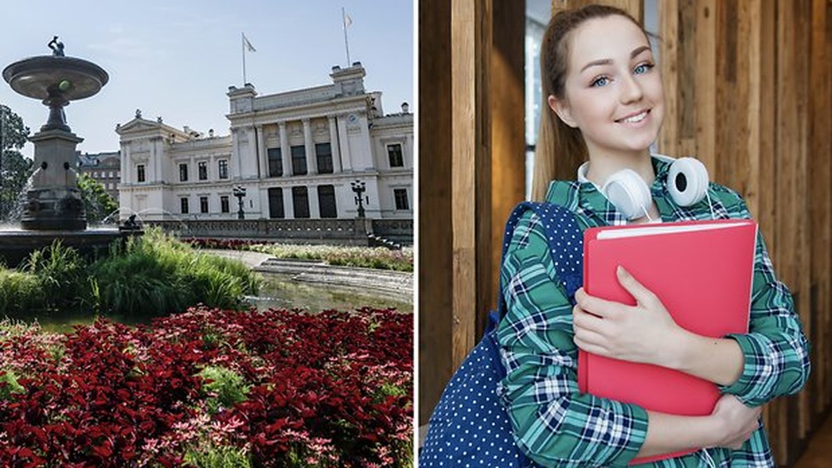 En forskare vid Lunds universitet har fått skarp kritik.