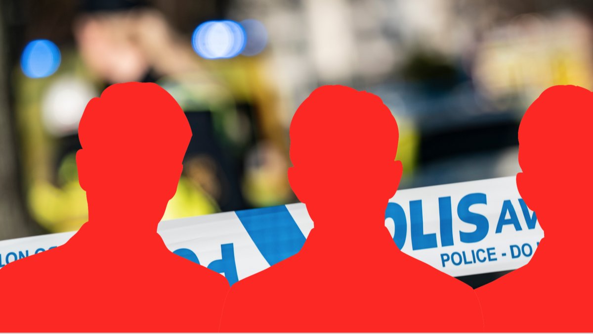 En pappa och hans två söner har gripits misstänkta för en våldtäkt.