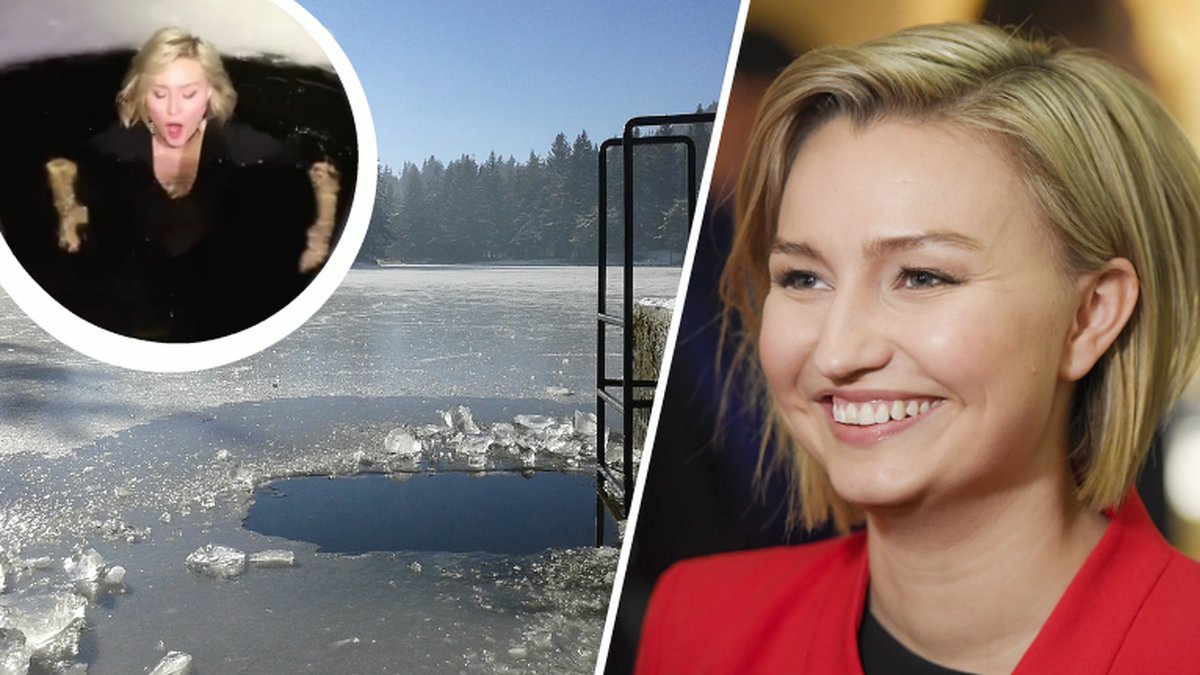 Ebba Busch Thor, isvak