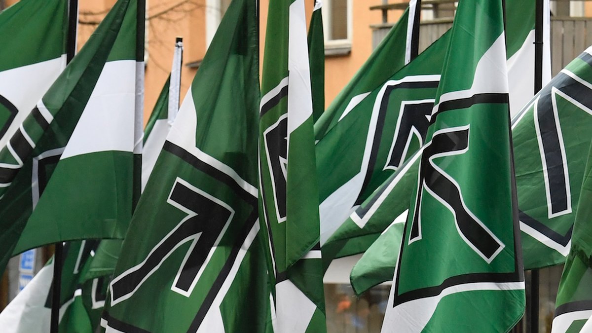 Nazister skapar tumult i Almedalen