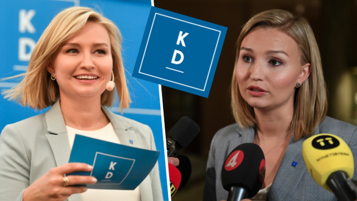 Den 9:e september är det riksdagsval.