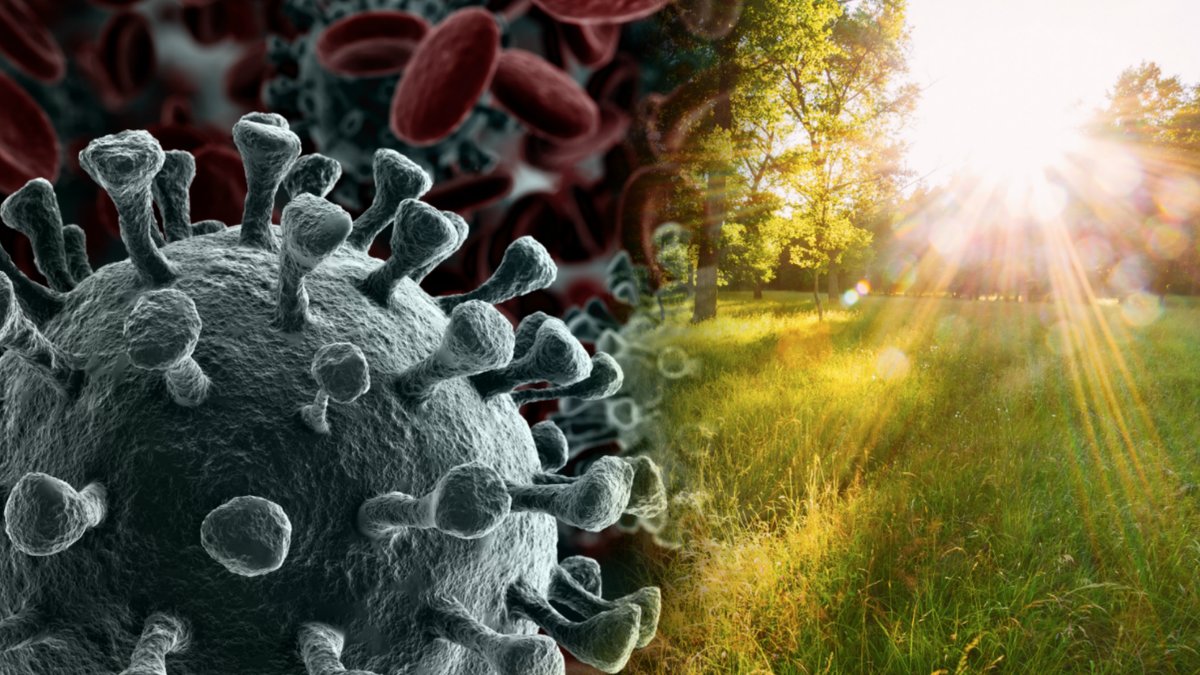 Solljuset kan hjälpa mot covid-19.