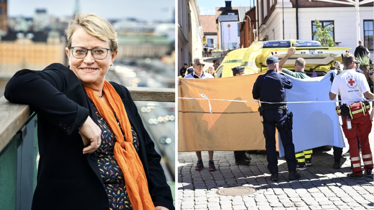 SKR:s Ing-Marie Wieselgren, 64, som dödades i knivattacken i Visby ska ha varit målet med attacken.