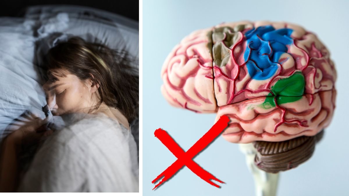 Vänster: flicka som sover. Höger bild på fakehjärna. Rött kryss i mitten.