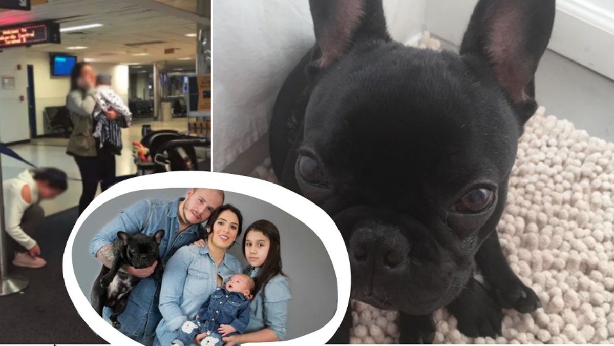 Familjen Castano tvingades ha sin hund i handbagageutrymmet