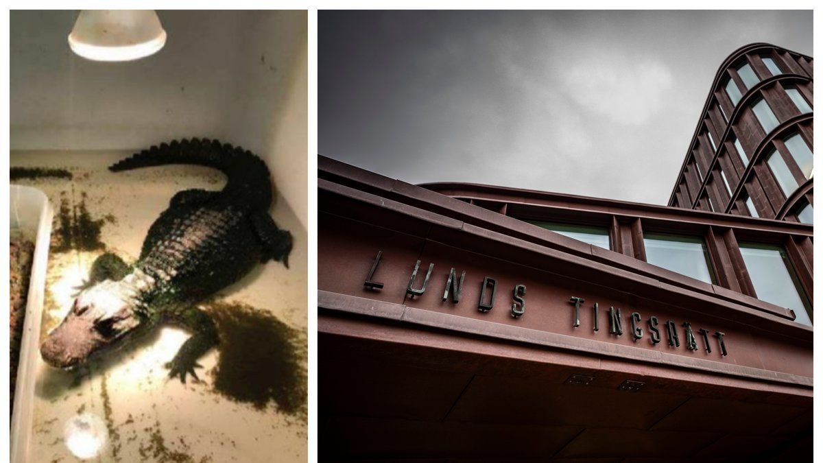 En 41-årig man har dömts till två års fängelse för bland annat grovt artskyddsbrott.