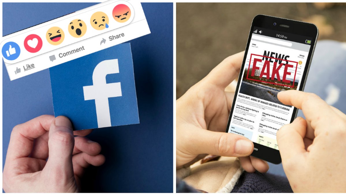 Fake News, Facebook. 