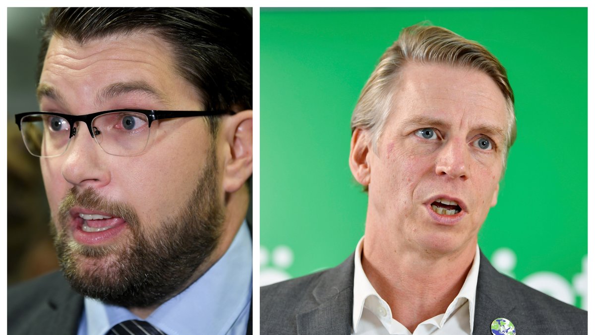 Per Bolund (MP) står fast vid att Sverigedemokraterna är ett brunt parti.