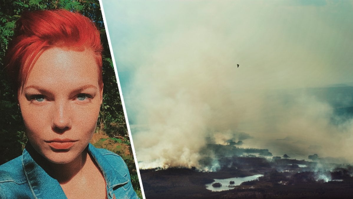 Under sommaren 2018 har det skett över 80 bränder runt om i Sverige.