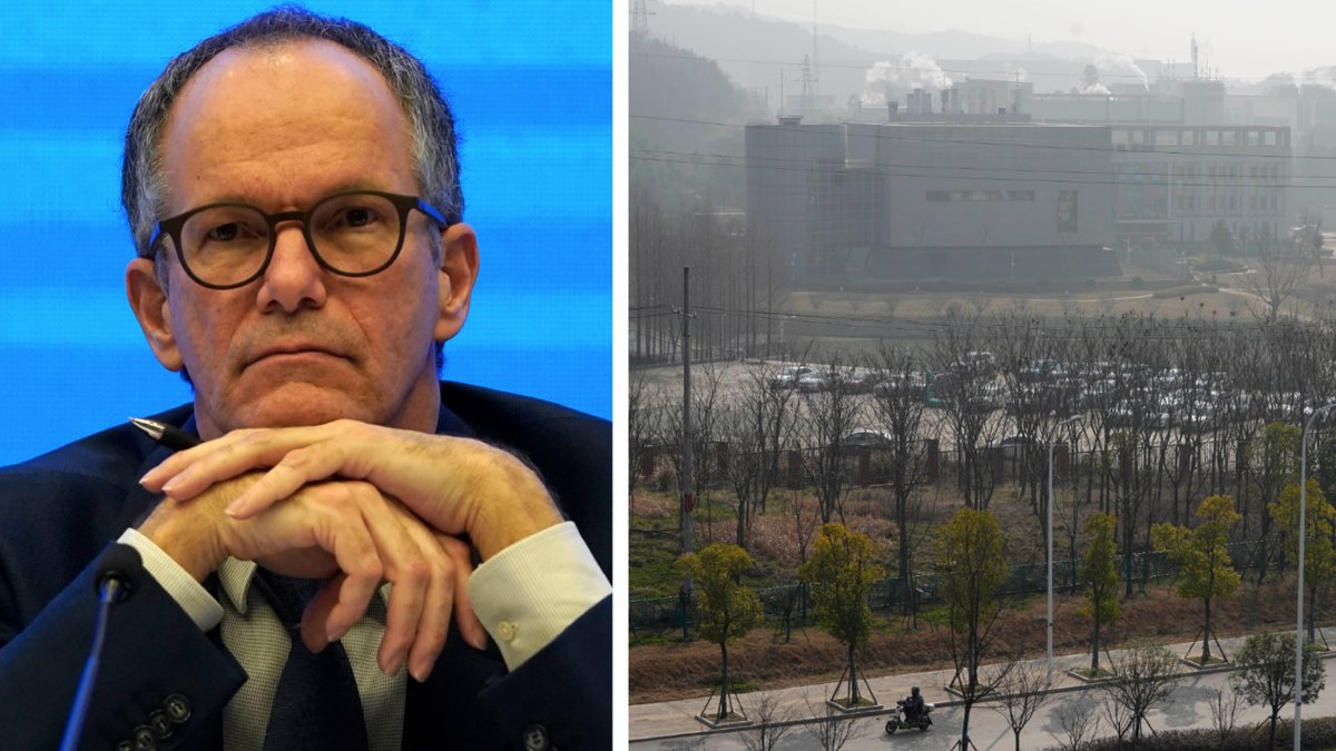 Peter Embarek ledde WHO:s utredning i Wuhan i våras.