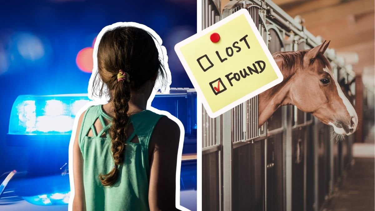 Blåljus vänster. Häst i ett stall höger. Utklippt rygg av en flicka vänster. Utklippt lapp med orden Lost och Found samt en ikryssad ruta jämte Found.