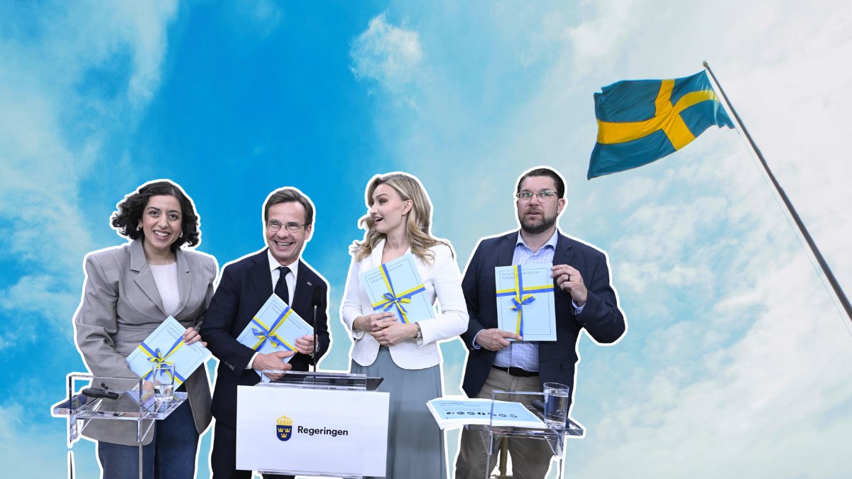 Regeringen, flaga