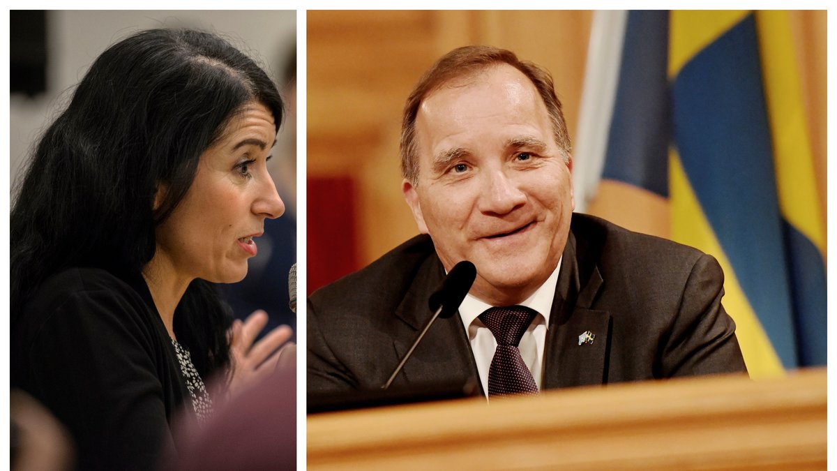 Den politiska vilden Amineh Kakabaveh kommer att släppa fram Stefan Löfven (S) som statsminister.