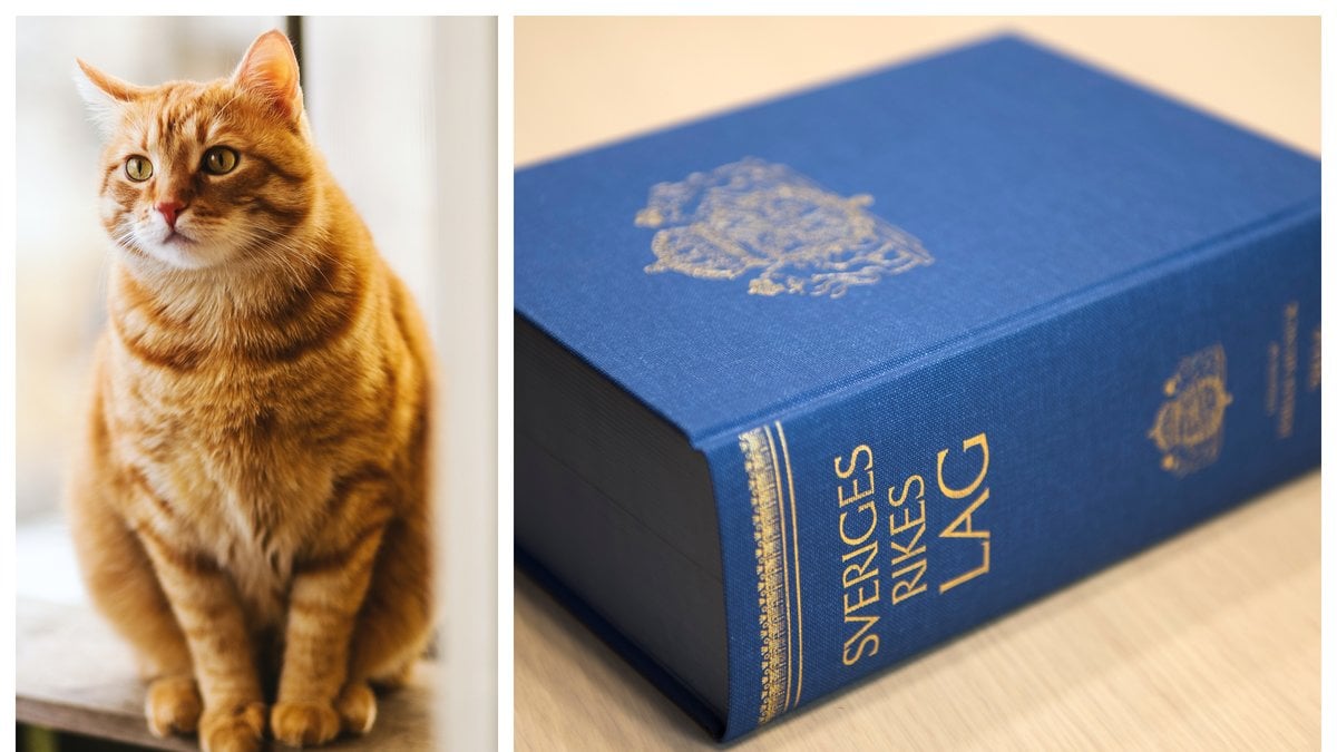 Den nya kattlagen träder i kraft den 1 januari 2023.
