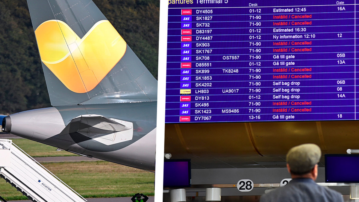 Thomas Cook Ving