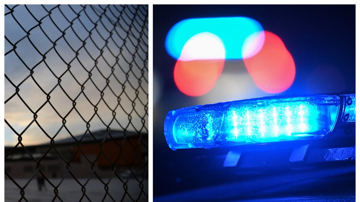 En anställd vid Ölands djurpark har dött i samband med att ha hanterat ett djur på anläggningen.