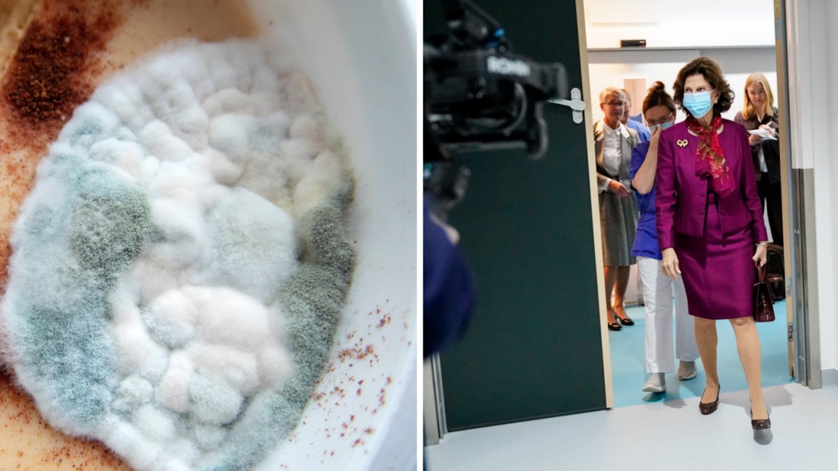 Mögel har hittats i flera rum på barncancercentrum vid Drottning Silvias barnsjukhus i Göteborg. 
