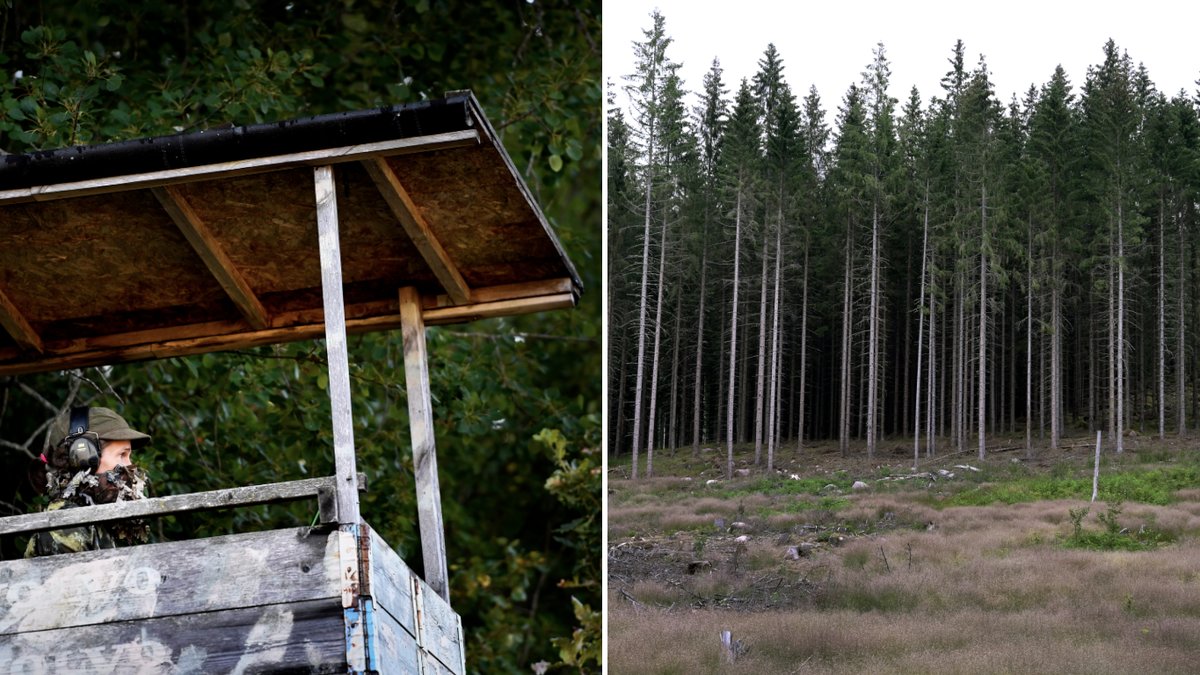 En jägare hittades död i ett jakttorn i augusti.
